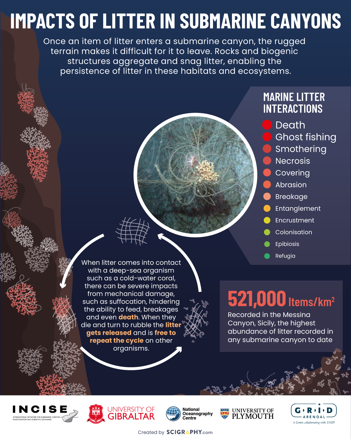 Marine litter impacts in submarine canyons